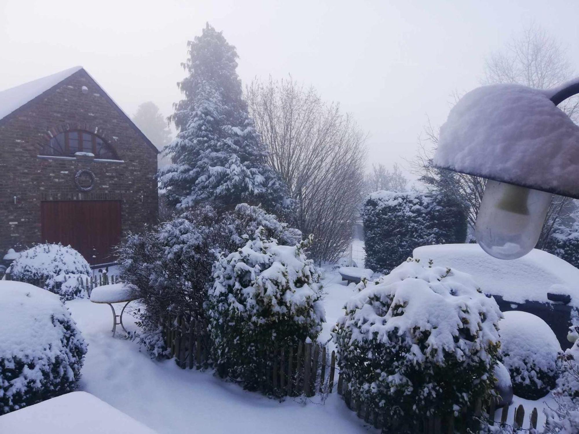 A L'Ombre Du Noyer Bed and Breakfast Fernelmont Buitenkant foto